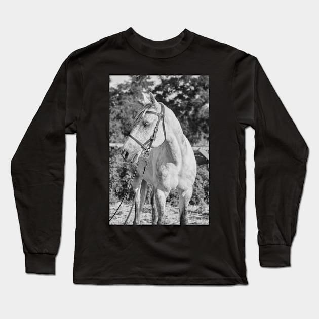 Beautiful Quiete White Horse Long Sleeve T-Shirt by KanysDenti